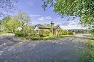 Photo 41- click for photo gallery